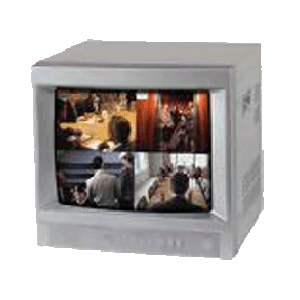 Telview Monitor 14"